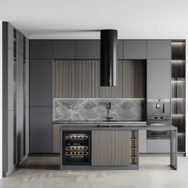 Kitchen modern